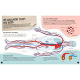 Sassi - What How and Why The Human Body Book and Poster