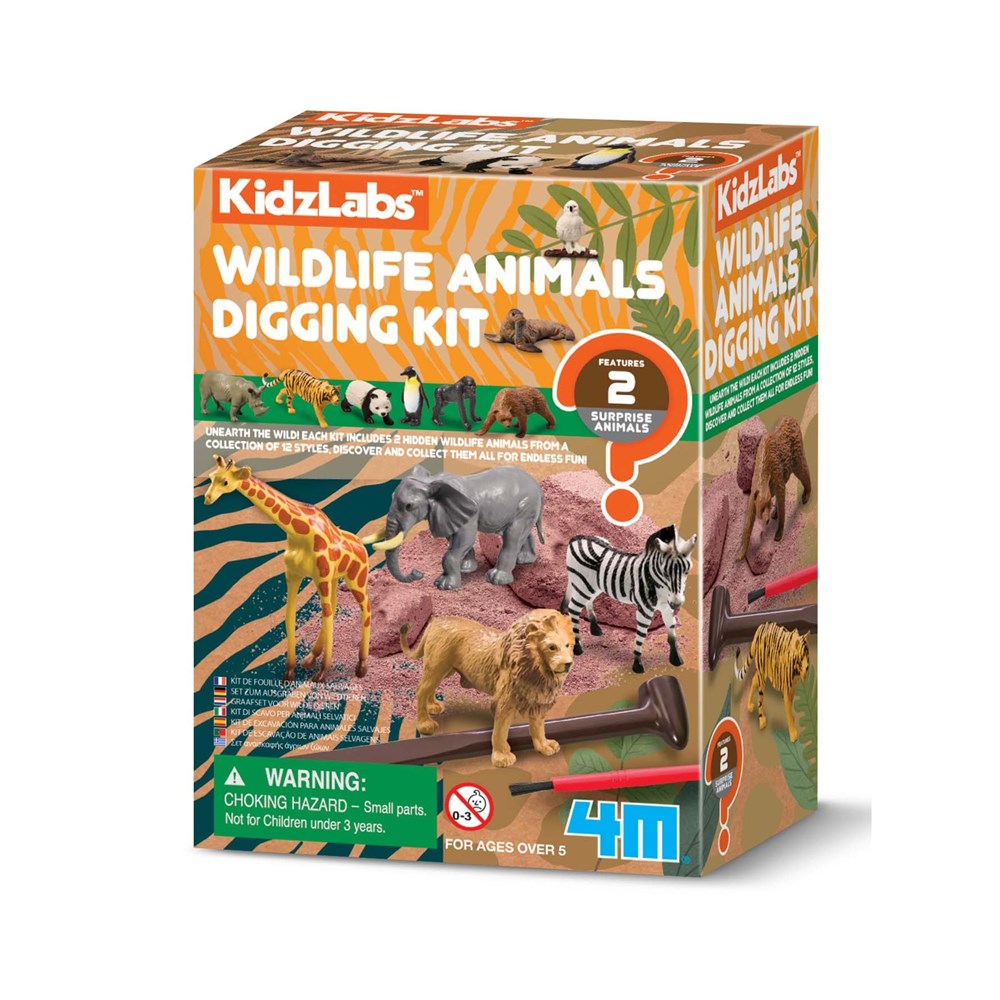 Kids Toys