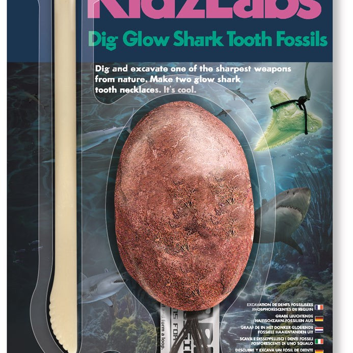 4M - KidzLabs - Shark Tooth Fossil