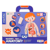 mierEdu - Magnetic Pad - Human Anatomy