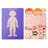 mierEdu - Magnetic Pad - Human Anatomy