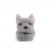 One Love - Remy French Bulldog