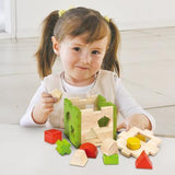 EverEarth - Shape Sorter Box