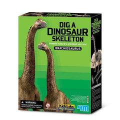 Dig a Dinosaur
